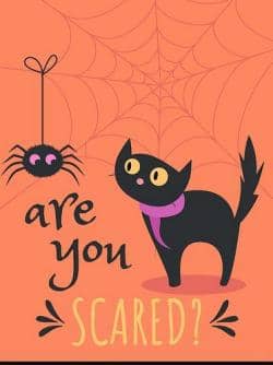 frase de miedo en ingles para Halloween are you scared